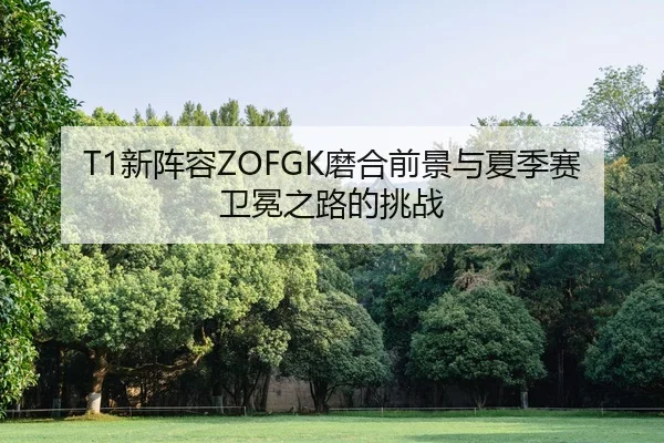 xin-zhen-rong-mo-he-qian-jing-yu-xia-ji-sai-wei-mian-zhi-lu-de-tiao-zhan-2-413.jpg